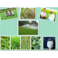 Agrochemical Plant Growth Regulator Brassinolide 72962-43-7 Crop Promotor